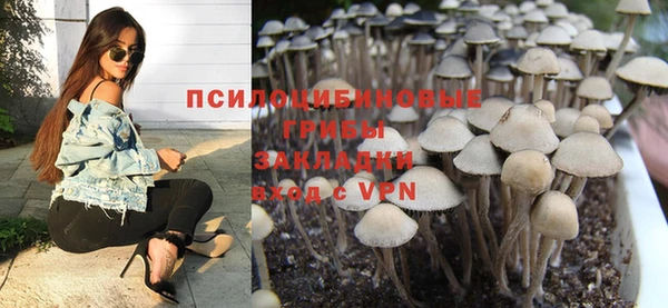 трава Аркадак