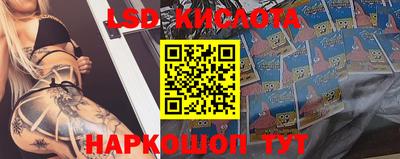 mdpv Заводоуковск