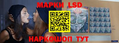mdpv Заводоуковск