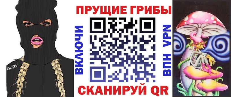 kraken сайт  Печора  Псилоцибиновые грибы прущие грибы 
